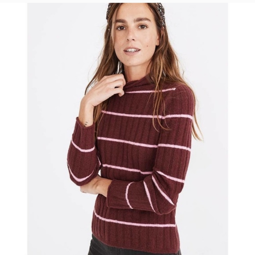 Madewell Burgundy and Pink Striped Turtleneck Sweater